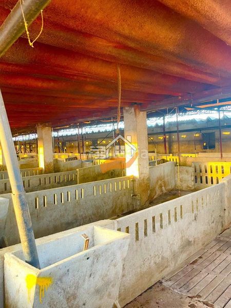 Foto 0b3899e0-3431-44c4-ac7e-ff959029bd03. Nau industrial a Torres de Cotillas (Las)