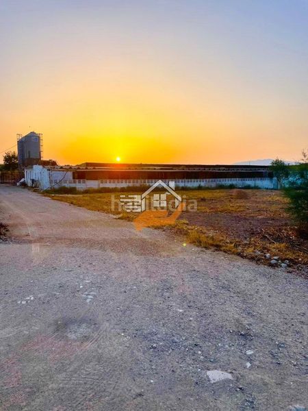 Foto 684a34ac-fc4b-4b0d-9f66-8e18bed85a21. Nau industrial a Torres de Cotillas (Las)