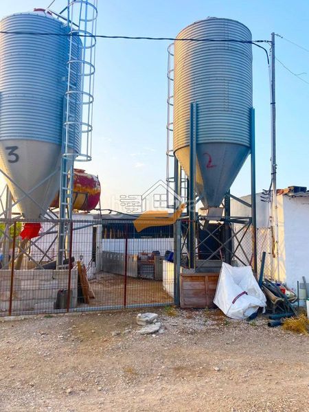 Foto aad44fe0-ab58-4655-9797-bd12e1e46dcd. Nau industrial a Torres de Cotillas (Las)