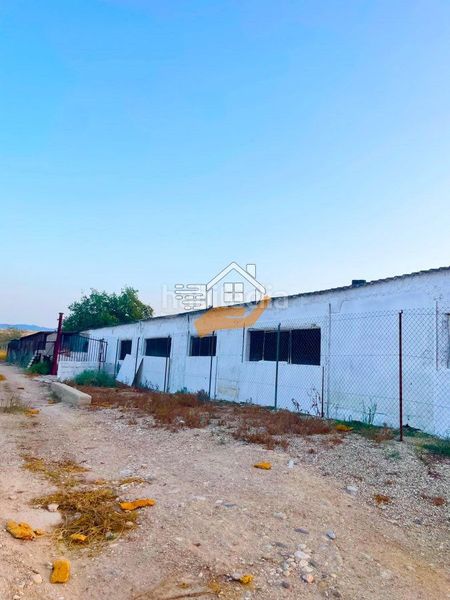 Foto b8dbce2a-7585-4126-9455-a3d1d804a8c3. Nau industrial a Torres de Cotillas (Las)