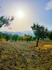 Terreno residencial en Vélez - Rubio. Terreno rústico en venta en vélezrubio.
