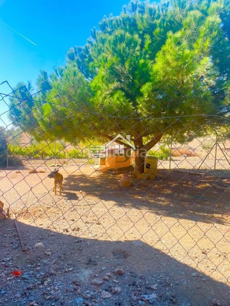 Foto 5b5ff7a7-c68d-4664-b88d-8e3813aa6efb. Masia a Zarzalico Lorca