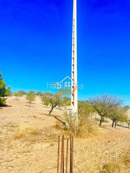 Foto 947b50a4-2f79-4715-b645-13f8095b54bc. Masia a Zarzalico Lorca
