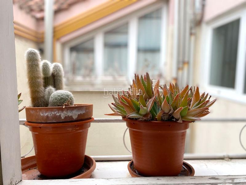 Foto afcc397c-fc49-4019-91c4-7ecdd4dc414c. Piso en Ensanche Vitoria - Gasteiz