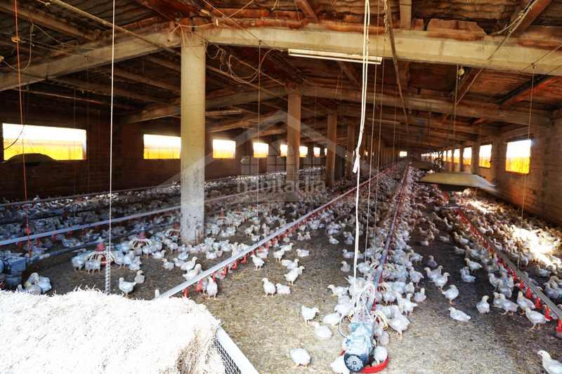 Foto 8d285886-d12a-4a34-bfc1-55ddeecdb7fb. Bauernhof mit heizung parking in Brunyola i Sant Martí Sapresa