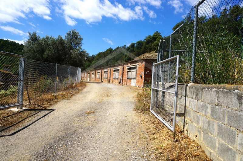 Foto a8ec8cf6-1158-4e8e-a2d0-faaaea89c86b. Bauernhof mit heizung parking in Brunyola i Sant Martí Sapresa