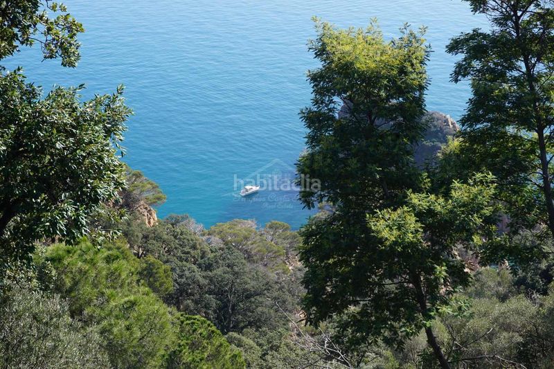 Foto 6484e4aa-ce17-4f06-a25a-1c81c4084231. Terreny residencial a Eixample Sant Feliu de Guíxols