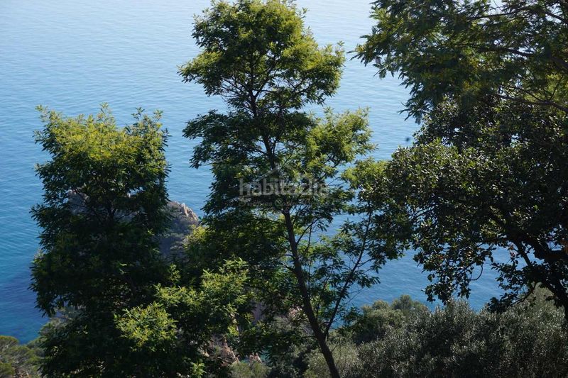 Foto beb3bb66-faf4-4e77-9a1e-afbe29ed83d4. Terreny residencial a Eixample Sant Feliu de Guíxols