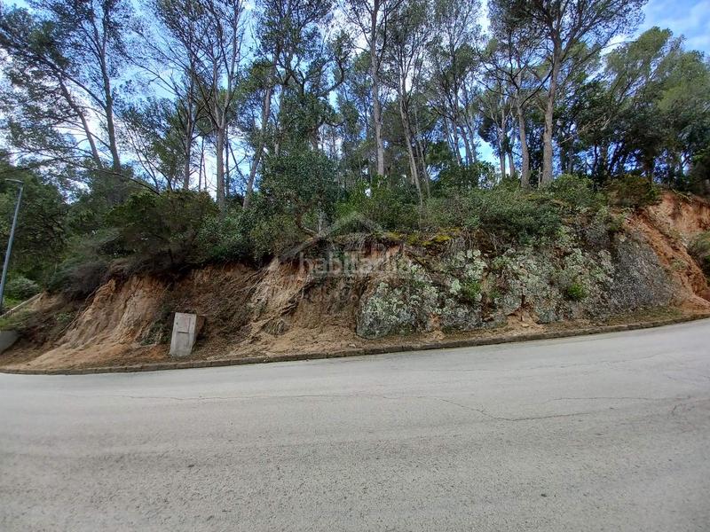 Foto 1488eb96-e20c-4780-9fe0-c5f01a619fe9. Terreno residencial en Tamariu