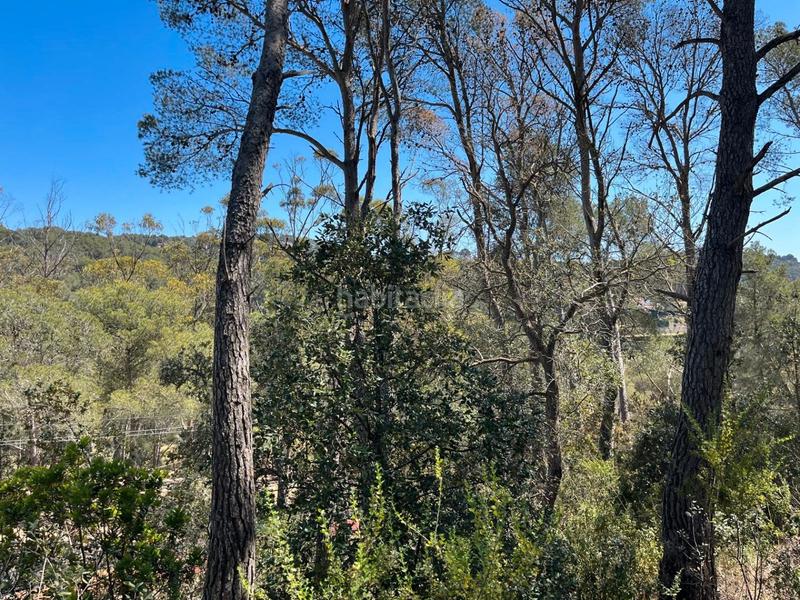 Foto 1d149213-22ff-48f7-be1a-a024120bd68c. Terreno residencial en Tamariu