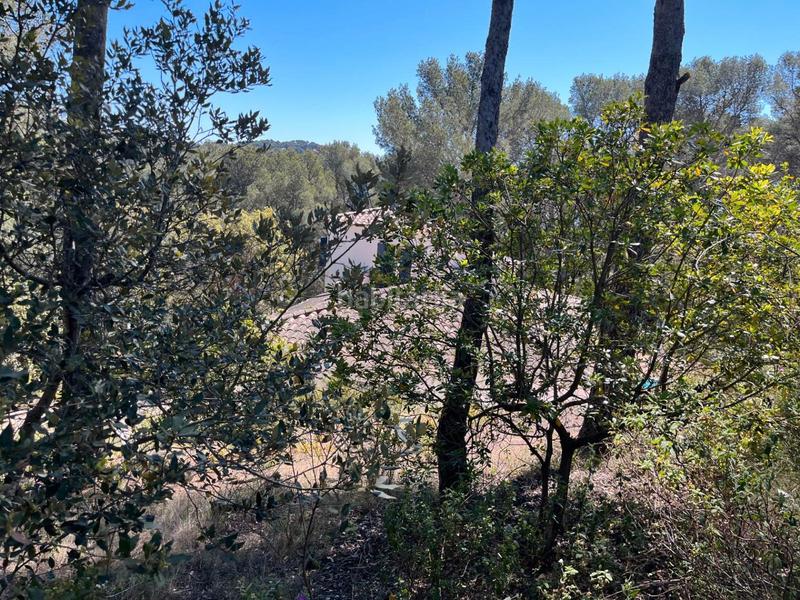 Foto 314bc1a8-a6ec-4de9-aac9-a44e3ed380f1. Terreno residencial en Tamariu