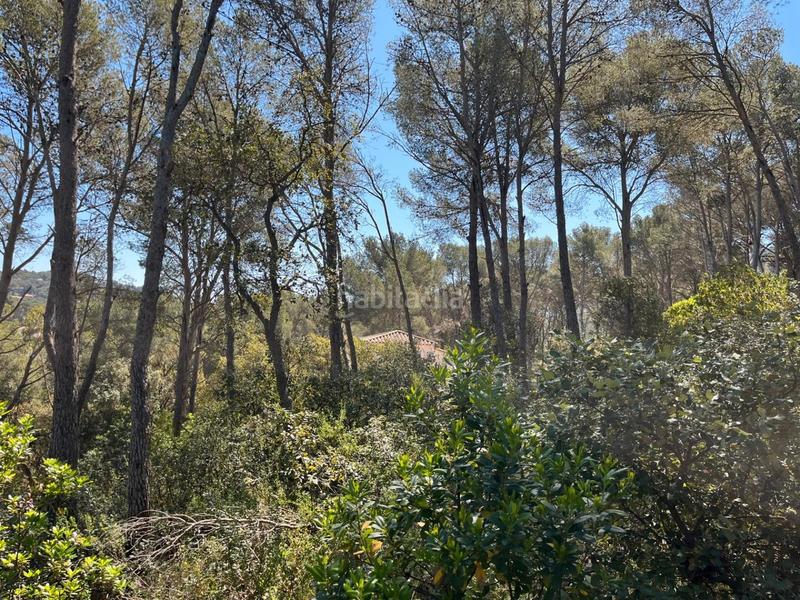 Foto 39198b52-4c92-457b-80a1-80e4666e0e96. Terreno residencial en Tamariu