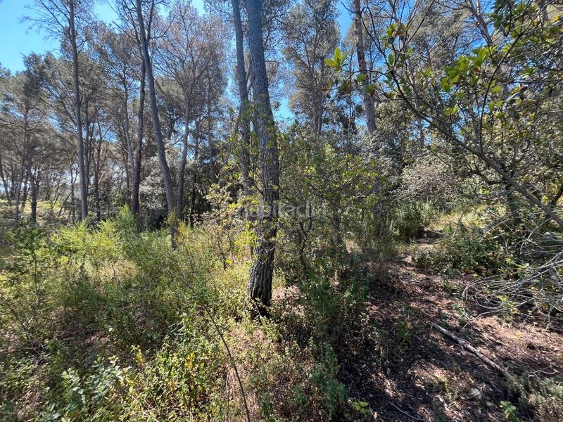 Foto 4abb7b29-d77c-4f0b-b3c5-76ae23207098. Terreno residencial en Tamariu