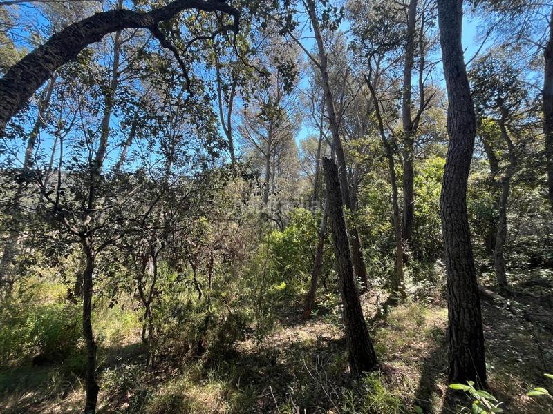 Foto 6830166d-e554-409e-a9e3-a24be05e31b0. Terreno residencial en Tamariu