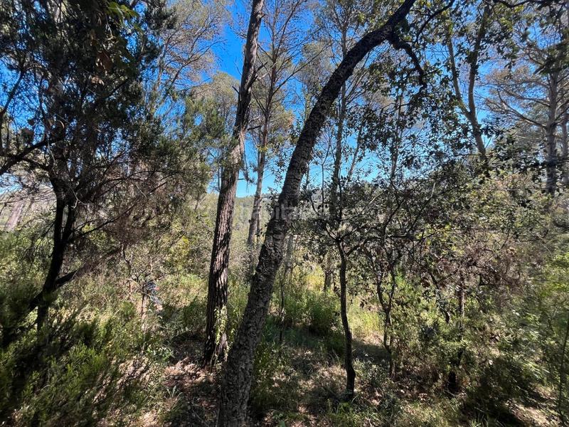 Foto ebebf112-2fea-4fc5-be42-b5871fc3c190. Terreno residencial en Tamariu