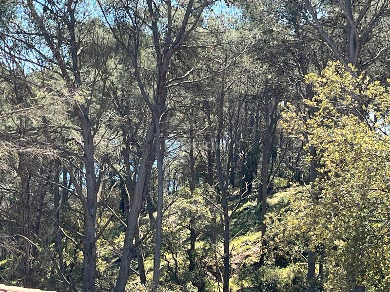 Foto f136f0fc-1ba4-445f-8e77-2d57c6c467ce. Terreno residencial en Tamariu