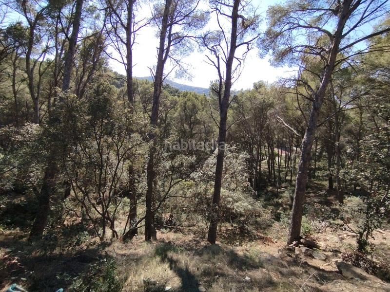 Foto 6df77913-79d0-4023-a030-f5a66d543f1e. Terreno residencial en Sa Riera-Sa Fontansa Begur