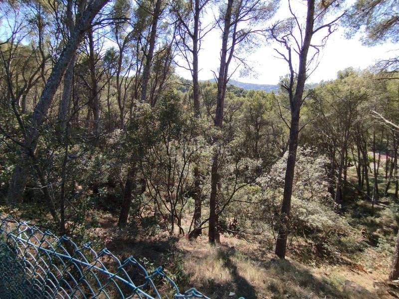 Foto 6f7e9203-501e-4801-b9bc-19e3a71f0100. Terreno residencial en Sa Riera-Sa Fontansa Begur