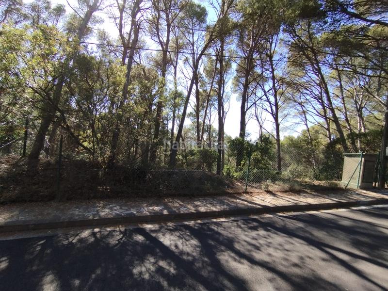 Foto 1bf335ec-5438-4f75-8644-33fedc17f998. Terrain résidentiel dans Sa Riera-Sa Fontansa Begur