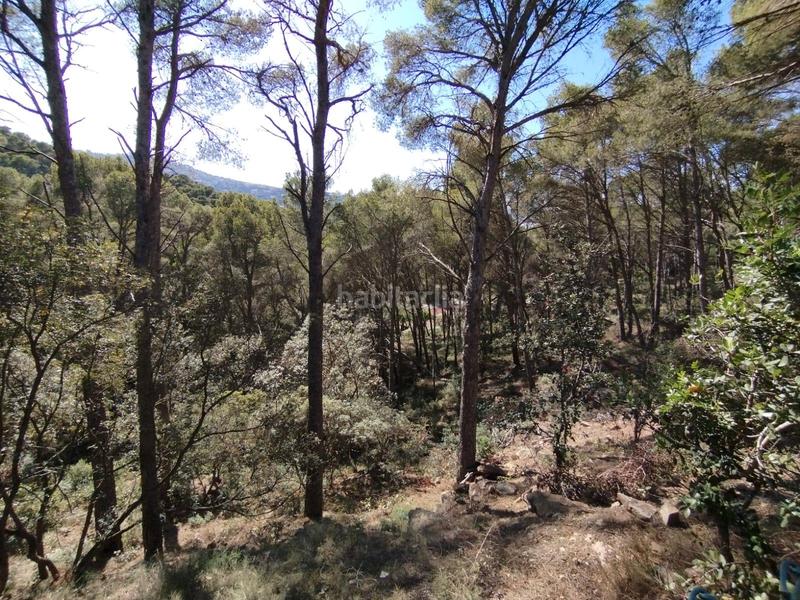 Foto 5d9659ea-824c-42ad-a0ab-847bc2d02ade. Terrain résidentiel dans Sa Riera-Sa Fontansa Begur