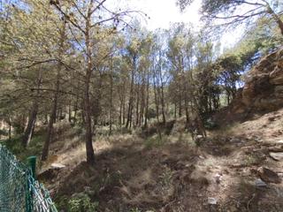 Terrain résidentiel à Sa Riera-Sa Fontansa