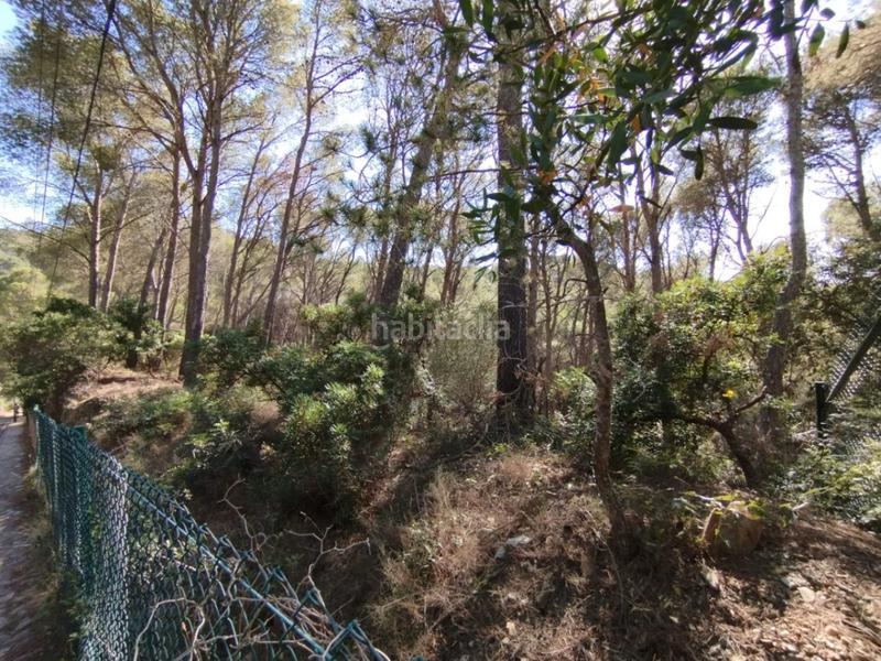 Foto e52554aa-7e47-4200-b006-0bc66b27eb52. Terrain résidentiel dans Sa Riera-Sa Fontansa Begur