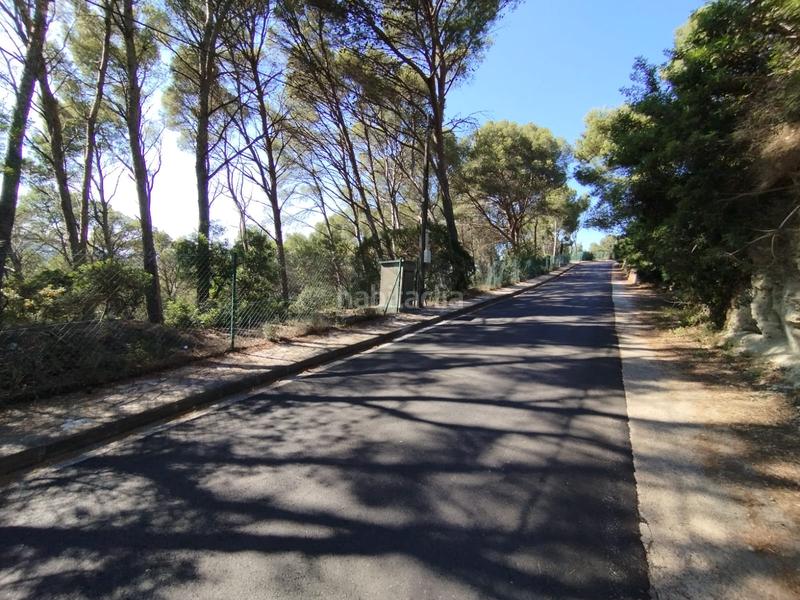 Foto 1c37c9b5-36fd-488e-bcc0-cc120aaa6051. Terreno residenziale in Sa Riera-Sa Fontansa Begur