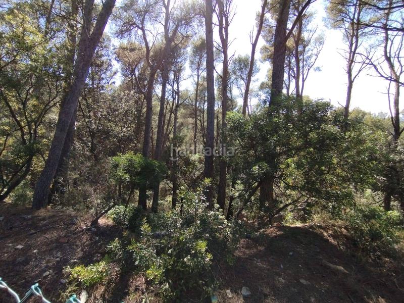 Foto 90442683-246c-41dd-a280-f341ce7bf6fd. Terreno residenziale in Sa Riera-Sa Fontansa Begur