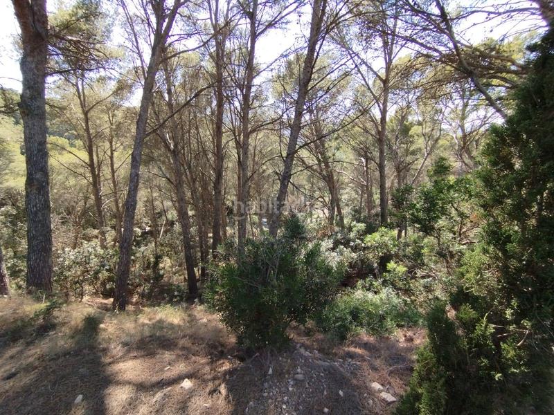 Foto f21884dd-a696-4545-90ae-5bc5c68e2a41. Terreno residenziale in Sa Riera-Sa Fontansa Begur