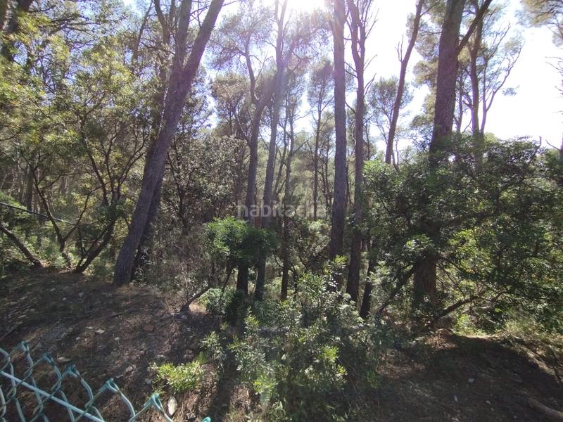 Foto 0ed12e22-dd4c-46e8-803e-c4837fb93d07. Wohngrundstück in Sa Riera-Sa Fontansa Begur