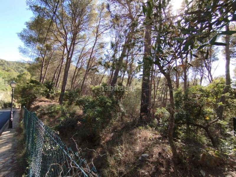 Foto 89621b08-632a-4007-94df-da7b8c76bc23. Wohngrundstück in Sa Riera-Sa Fontansa Begur