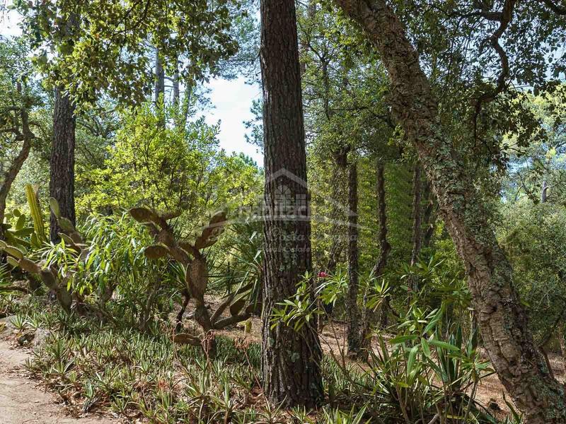 Foto 7684a01c-b969-4481-9381-9d5a60171ee7. Masia amb aparcament a Llofriu