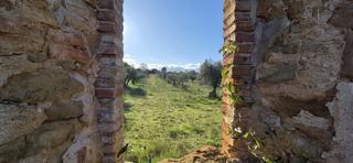 Terreny residencial a Ullastret