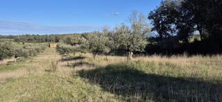 Terrain résidentiel à Ullastret