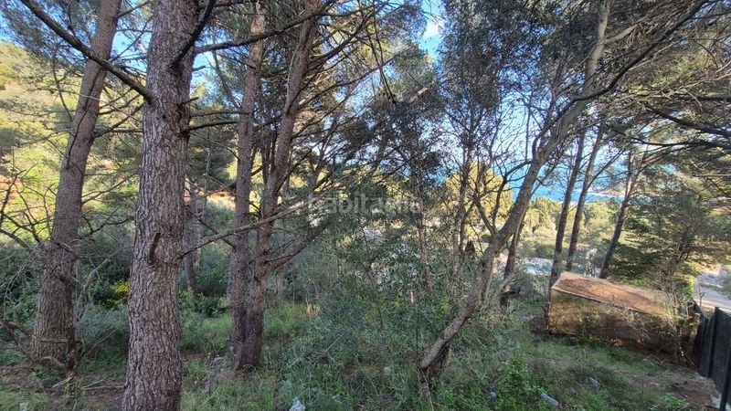 Foto 137fb5d4-aa13-4691-a08b-cdd893c1a79f. Terreny residencial a Fornells-Aiguablava Begur