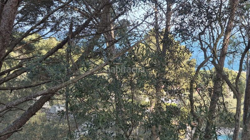 Foto 24e9d5e1-c479-4e23-9744-06cbdd23d413. Terreny residencial a Fornells-Aiguablava Begur