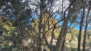 Terreno residencial en Fornells-Aiguablava