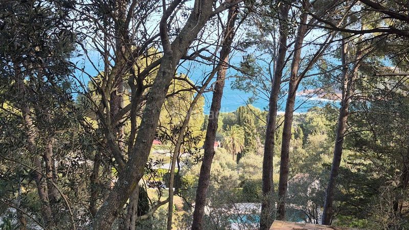 Foto 6461878e-1058-44ff-ba0c-cb8246033bf0. Terreny residencial a Fornells-Aiguablava Begur