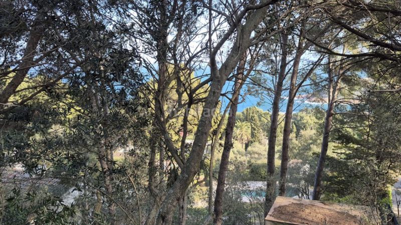 Foto 65efa4bb-0d5e-4384-bb21-05d5d7581724. Terreny residencial a Fornells-Aiguablava Begur