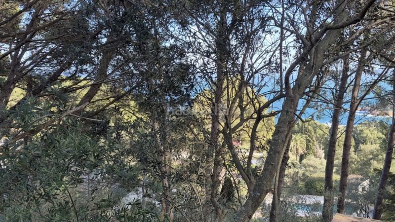 Foto 98769ea2-b8ae-4c85-867a-67b7edf412ab. Terreny residencial a Fornells-Aiguablava Begur