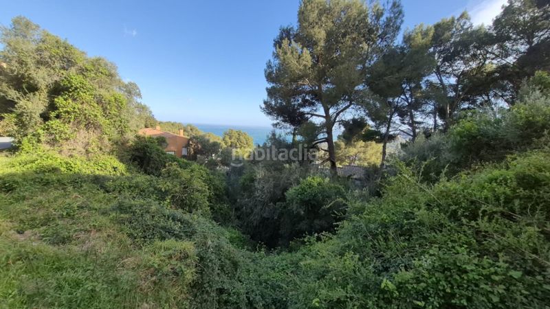 Foto 9a3fe92f-3a7b-43ca-9d19-085196475f7d. Terreny residencial a Fornells-Aiguablava Begur