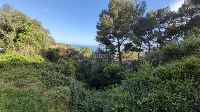Foto b515b110-0173-4eb7-bc4a-090b7d51eed5. Terreny residencial a Fornells-Aiguablava Begur