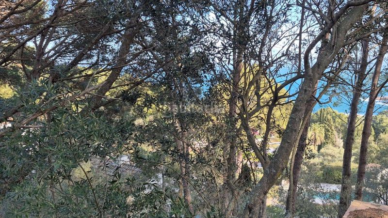 Foto ce431cb2-08a2-4cf7-a376-1dfa2ca89f90. Terreny residencial a Fornells-Aiguablava Begur