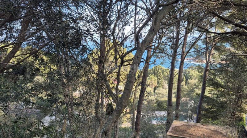 Foto ed8b940e-85f1-4e94-a04f-9931b9a13963. Terreny residencial a Fornells-Aiguablava Begur