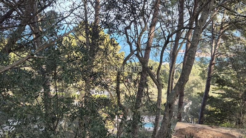 Foto fba5668f-f982-4410-af56-d49266e1bca8. Terreny residencial a Fornells-Aiguablava Begur