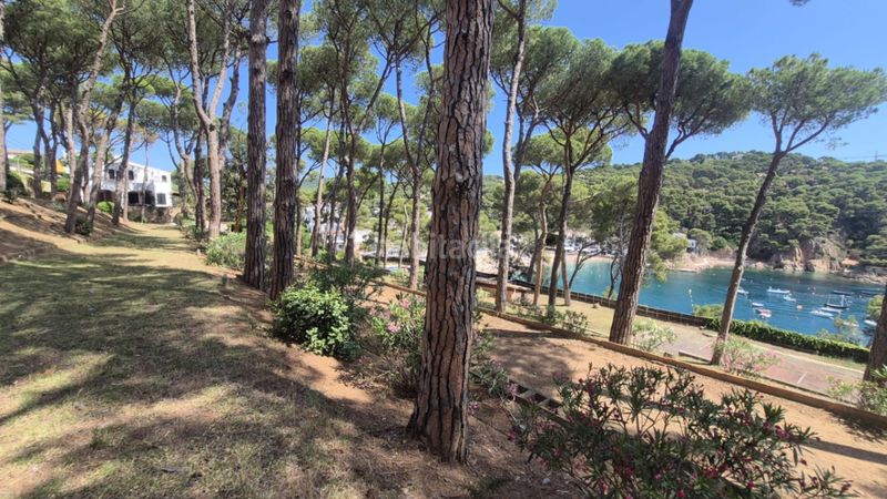 Foto 119eabb8-7728-4add-8f1d-be4d3d57fab3. Chalet en Tamariu