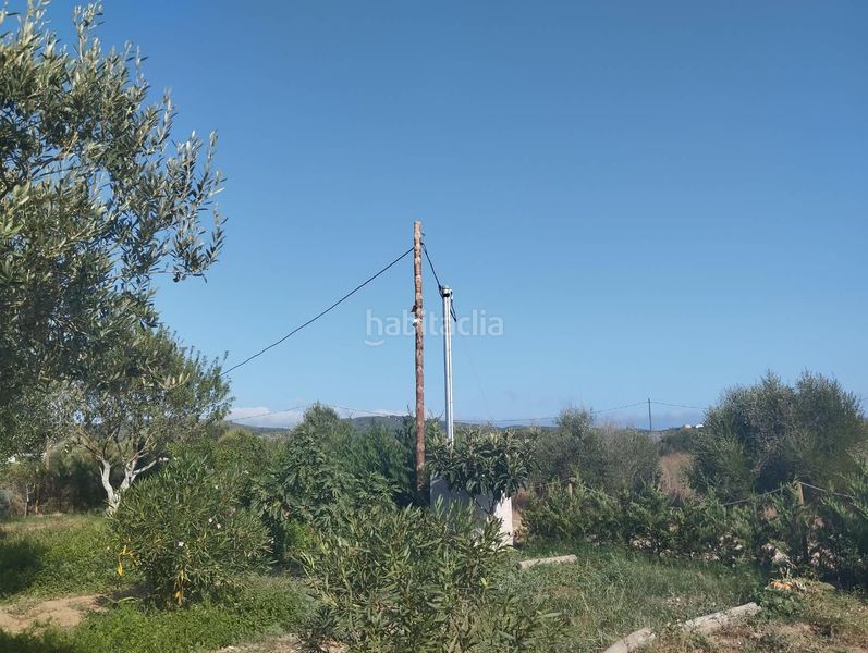 Foto 580716c1-902e-4a5b-b4f3-6554fae65f97. Masia a La Punxa Palafrugell