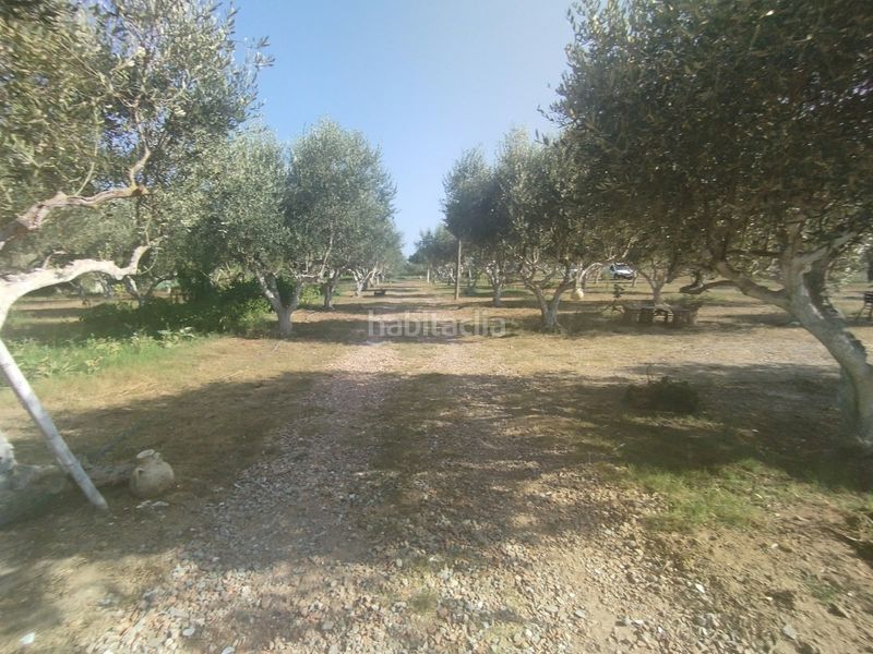 Foto 6525d802-4538-4bb4-b249-2fe09ea8e4fb. Masia a La Punxa Palafrugell