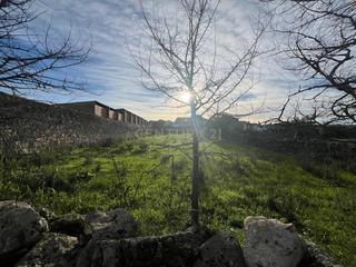 Casa a Zarza la Mayor