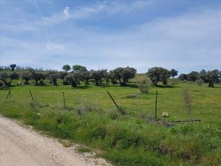 Terrain résidentiel à Zona Sur - Av. De España - San Miguel